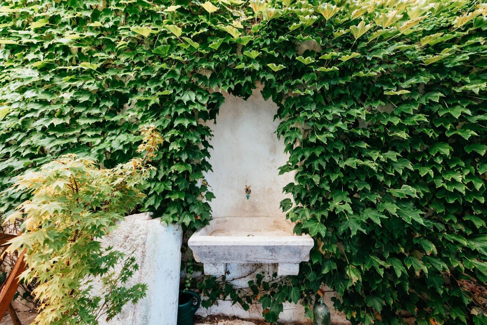 Villa Ani Apartment Coral Dubrovnik Bagian luar foto